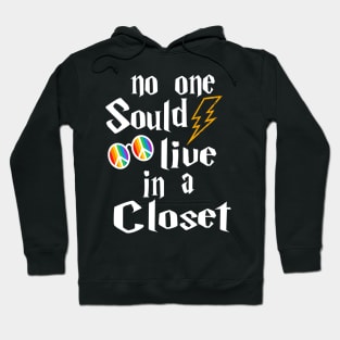 NO ONE SHOULD LIVE IN A CLOSET Hoodie